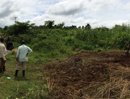Ecological Fairtrade Gold – Another Step Forward